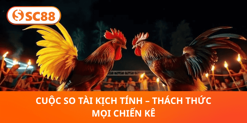 Cuộc So Tài Kịch Tính – Thách Thức Mọi Chiến Kê