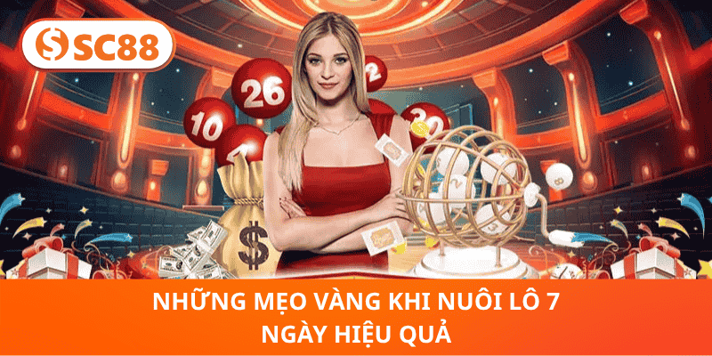 Những Mẹo Vàng Khi Nuôi Lô 7 Ngày Hiệu Quả